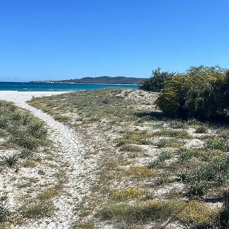 Apartment Massetti Per Coppie Sulla Costa Nord Est Dell Isola A Pochi Passi Dalla
