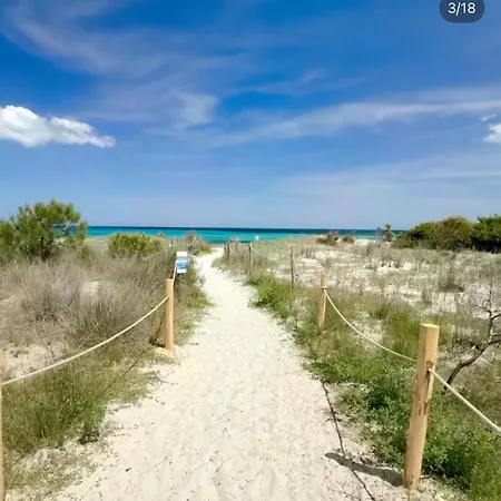 Apartment Massetti Per Coppie Sulla Costa Nord Est Dell Isola A Pochi Passi Dalla *