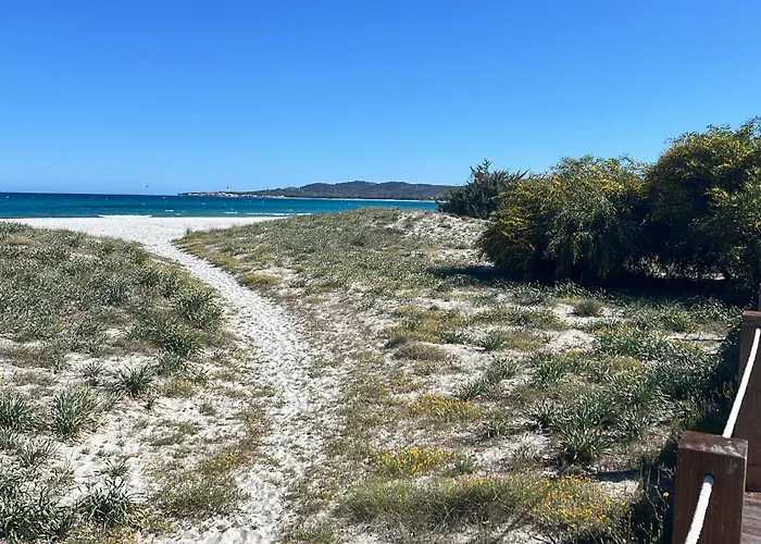 公寓 Massetti Per Coppie Sulla Costa Nord Est Dell Isola A Pochi Passi Dalla
