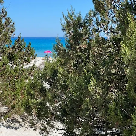 Massetti's Beachside Appartamento *