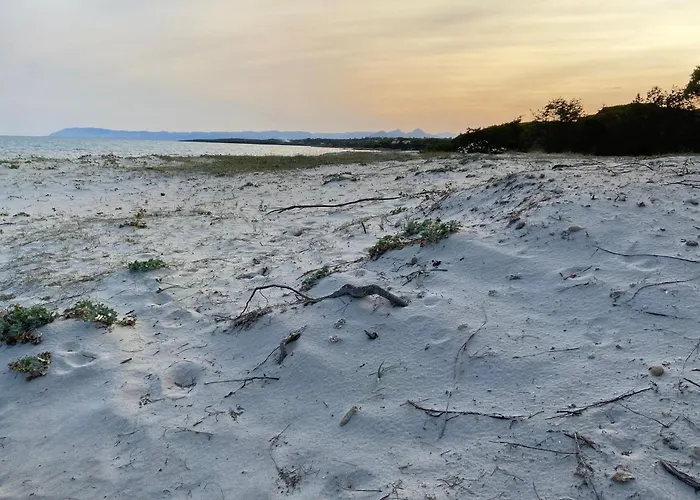 Massetti Per Coppie Sulla Costa Nord Est Dell Isola A Pochi Passi Dalla *